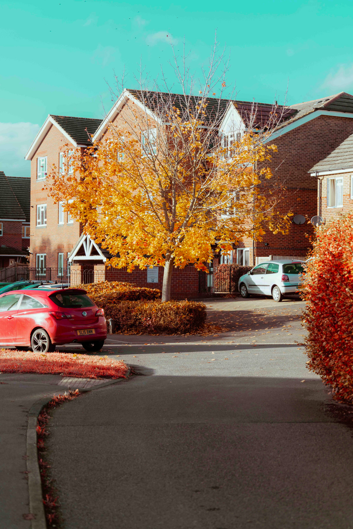 Billingshurst estate agent