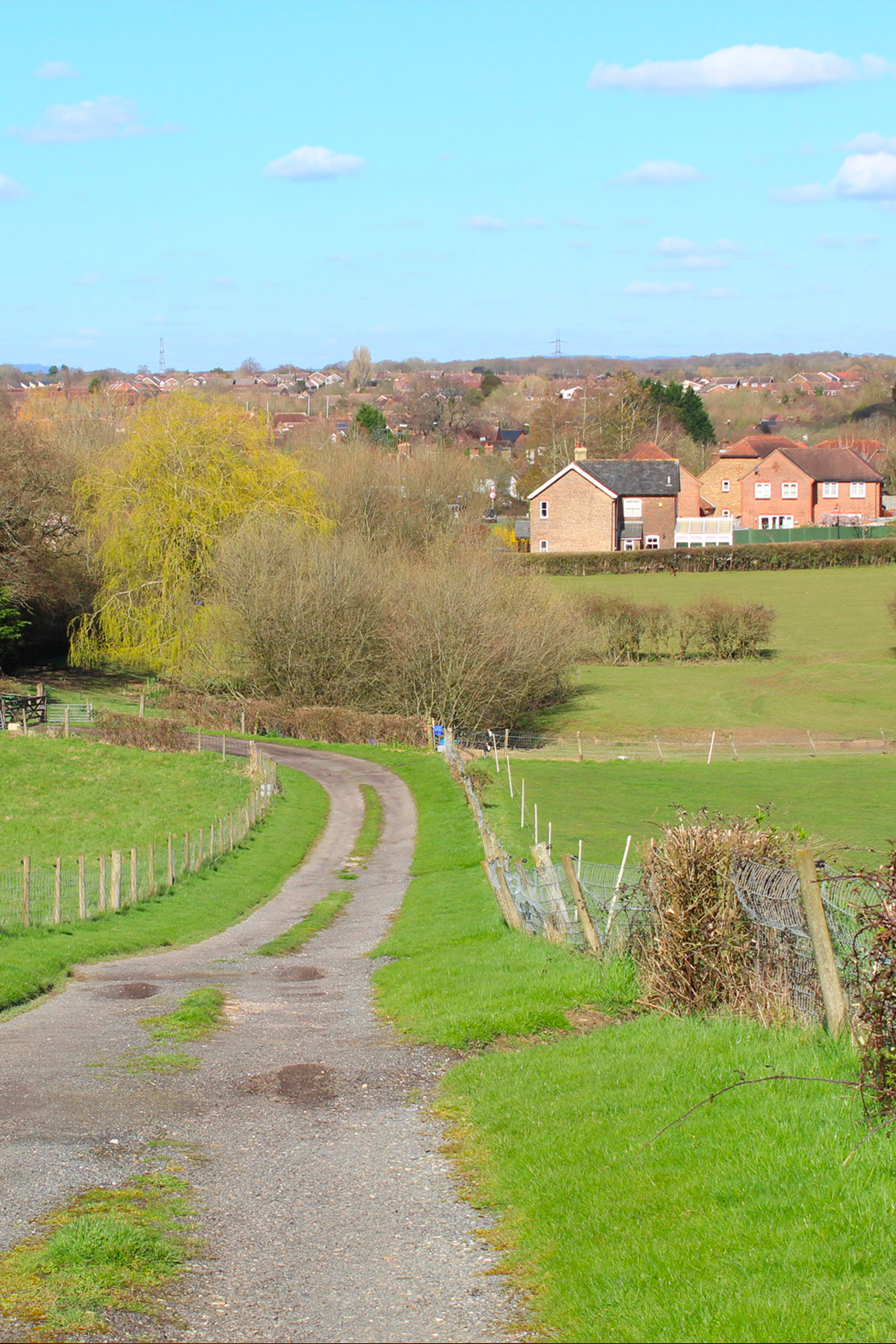 Billingshurst estate agent